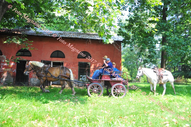 DSC_0980.JPG